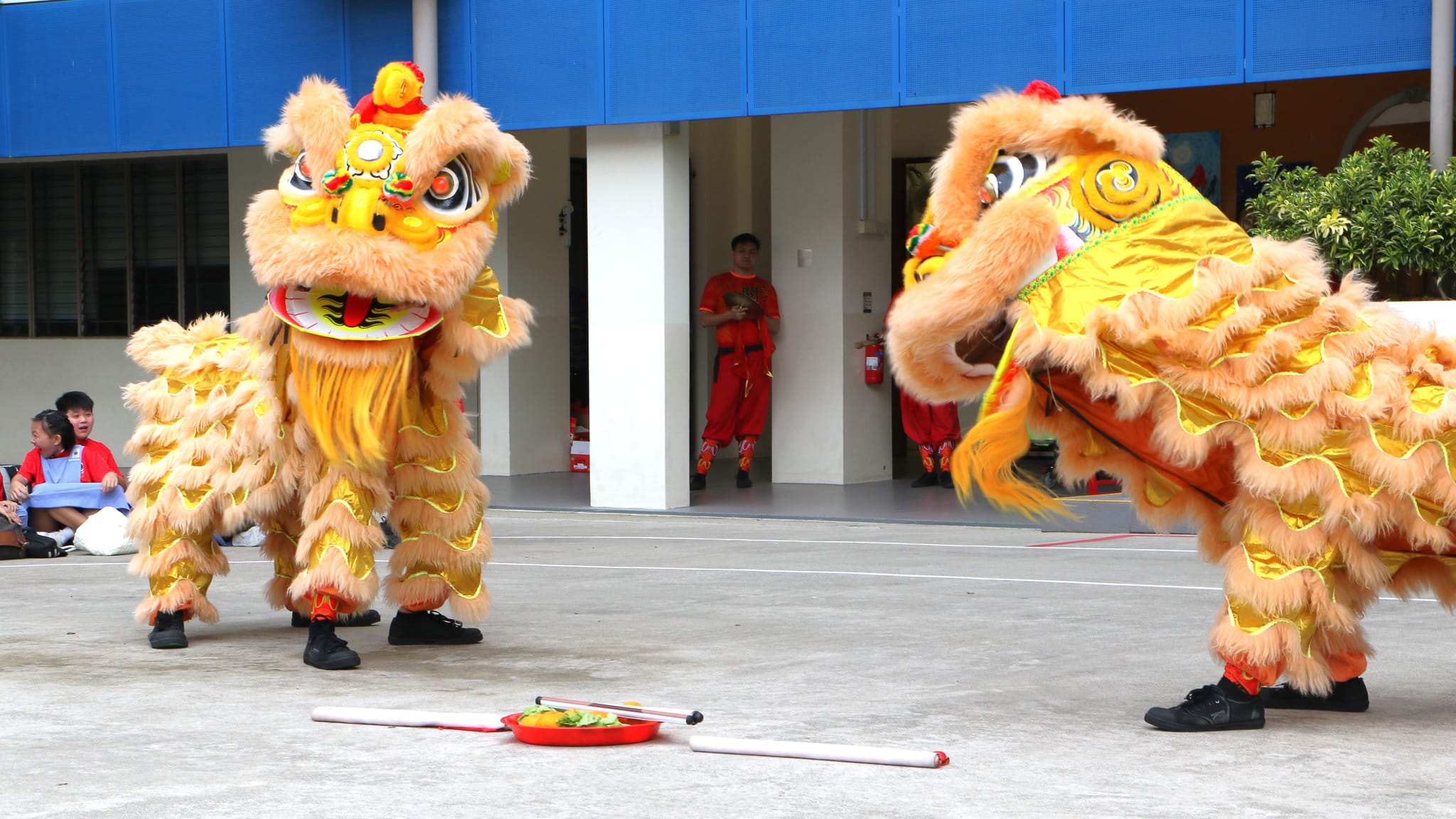 Chinese New Year Celebration